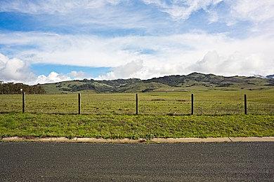 《重返猴岛》7月27日登陆移动端 Steam获特别好评